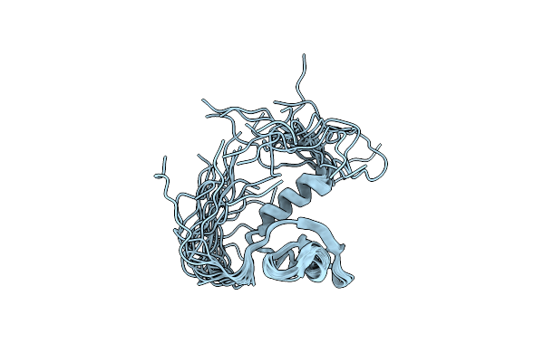 2DNT image