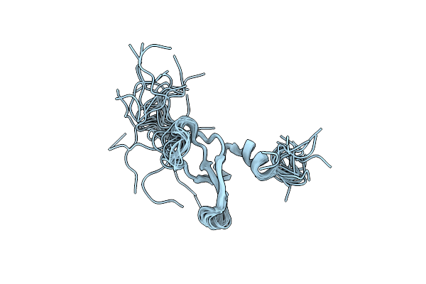 2DNV image