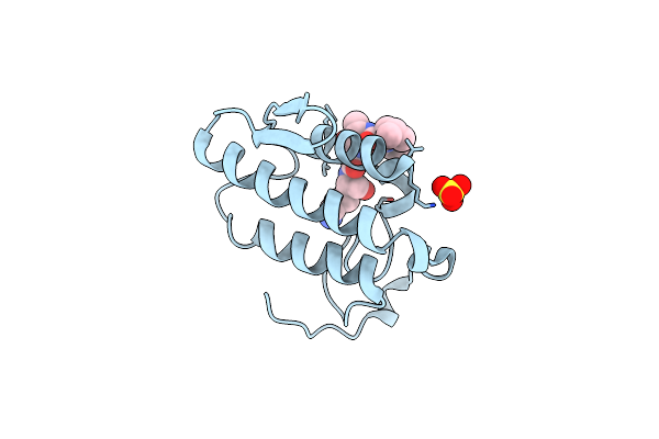2DO2 image
