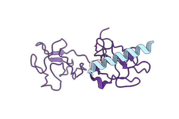 2DOH image