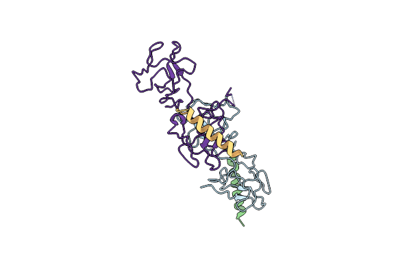2DOI image