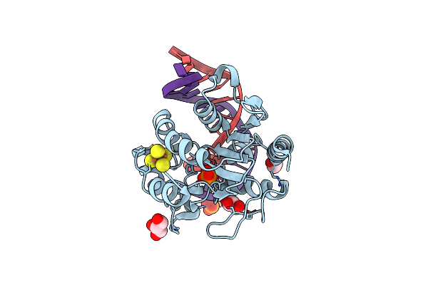2DP6 image