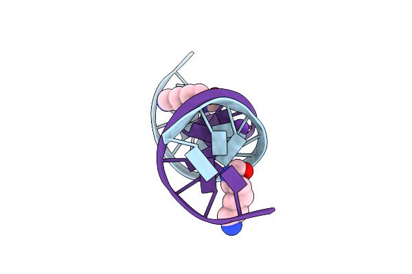 2DPB image