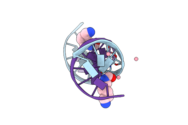 2DPC image