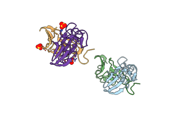 2DPF image