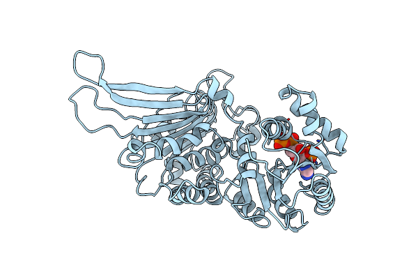 2DPG image