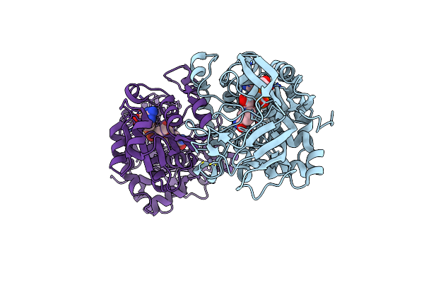 2DPH image