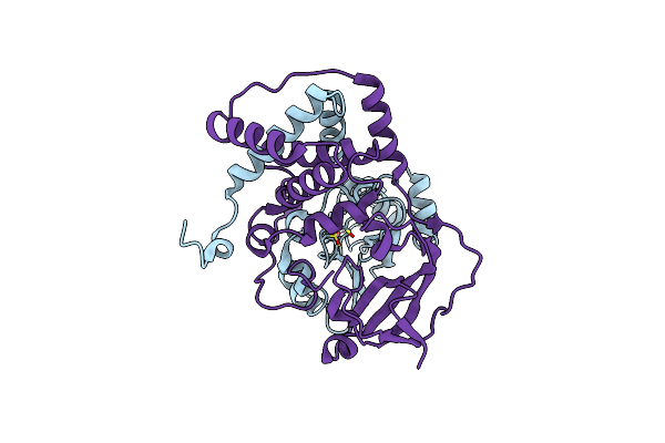 2DPP image