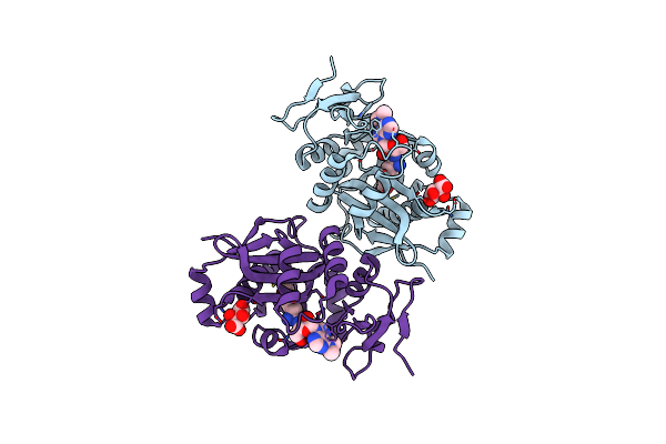 2DPT image