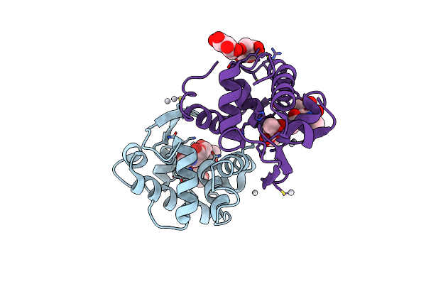 2DQA image