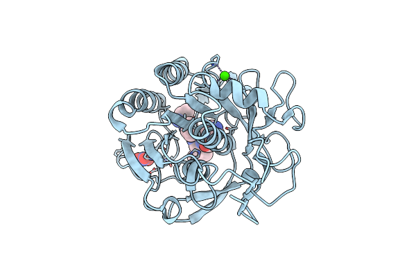 2DQK image