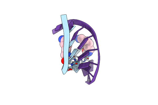 2DQP image