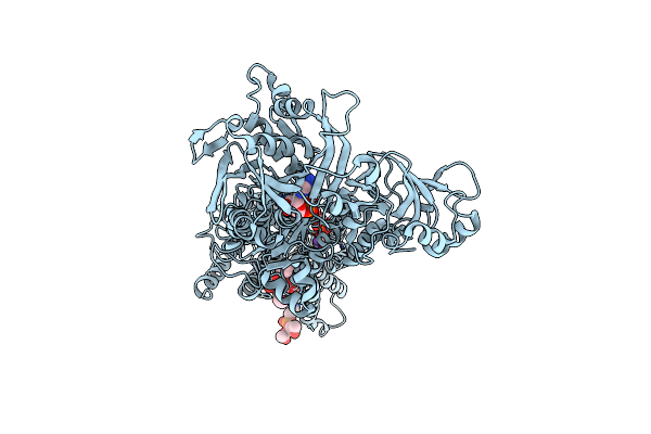 2DQS image