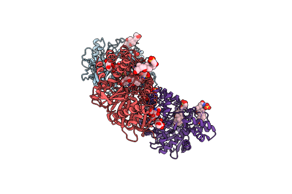 2DR0 image