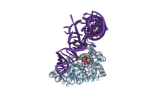 2DR2 image