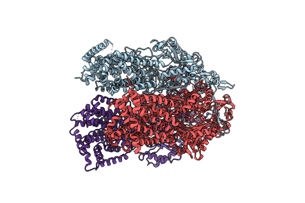2DR6 image