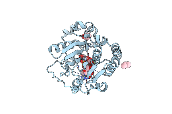 2DRJ image