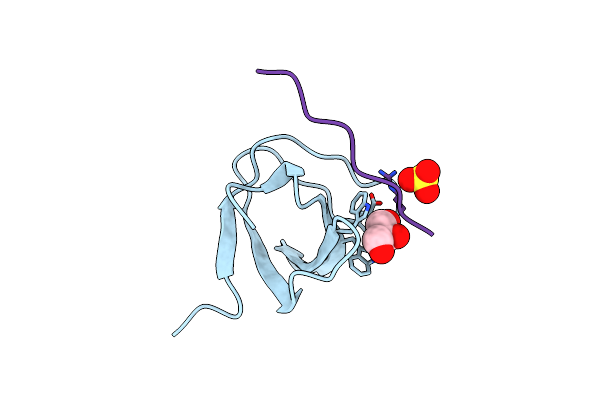 2DRK image