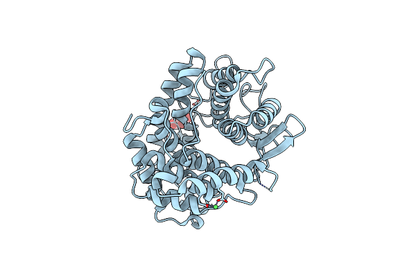2DRQ image