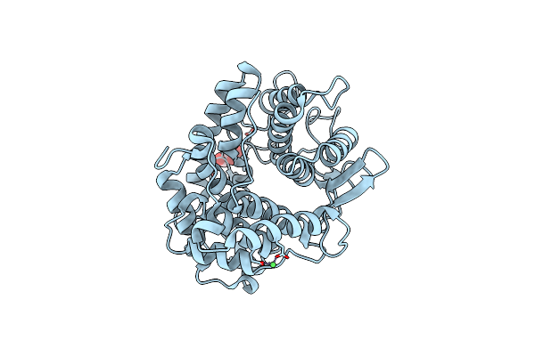 2DRS image