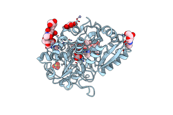 2DSF image
