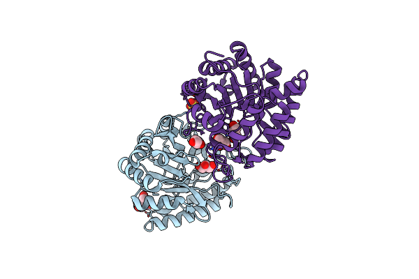 2DSK image