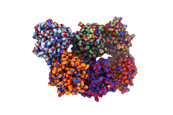 2DSO image