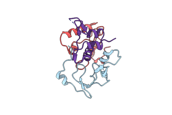 2DSR image