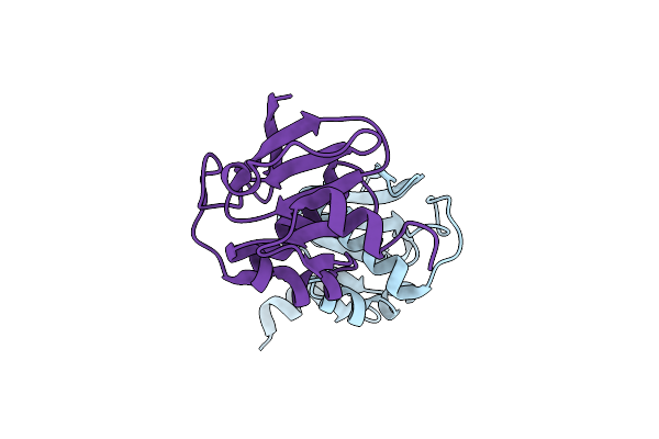 2DST image
