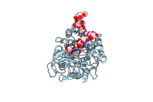 2DSV image