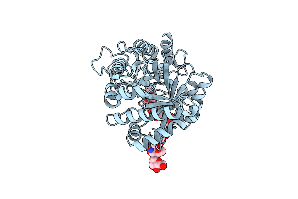 2DT0 image