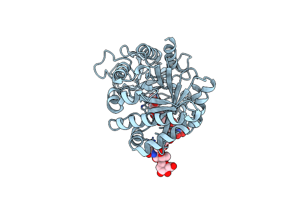 2DT1 image
