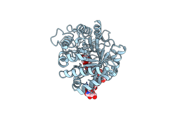 2DT2 image