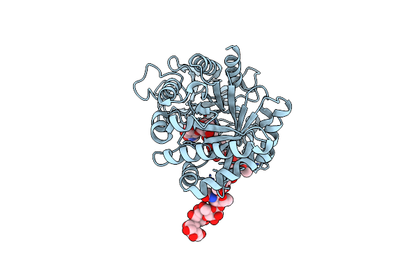 2DT3 image