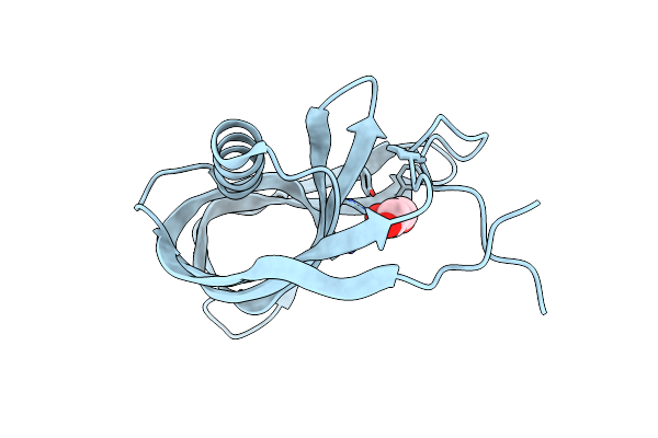 2DT4 image
