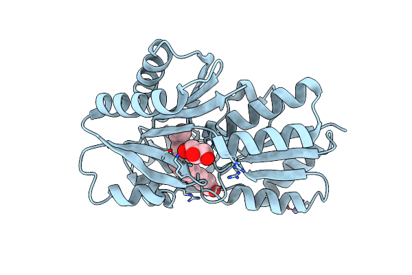 2DT8 image