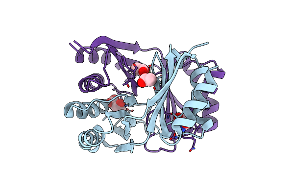 2DT9 image
