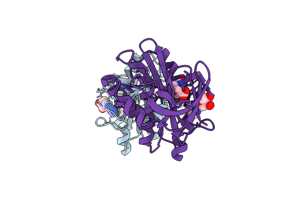 2DTH image