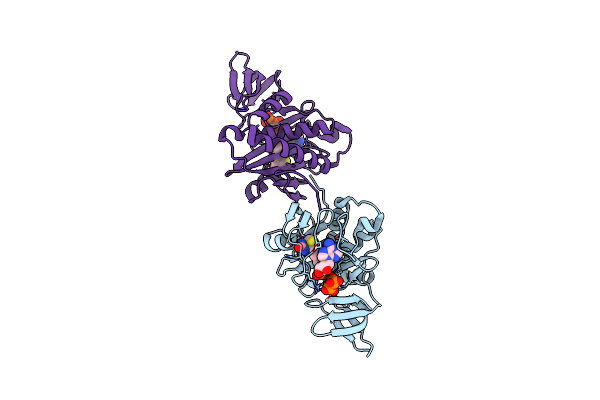 2DTI image