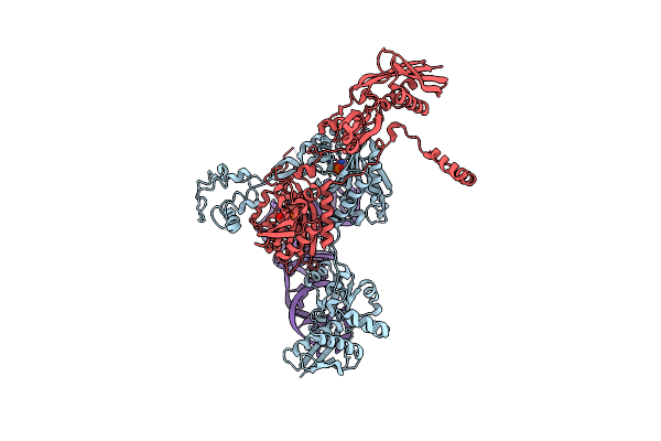 2DU3 image