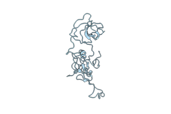 2DVJ image