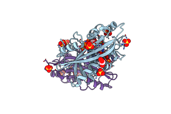 2DVN image