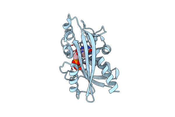 2DVO image