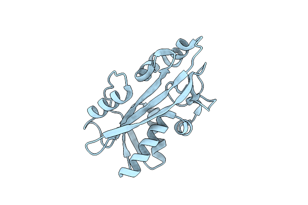 2DVP image