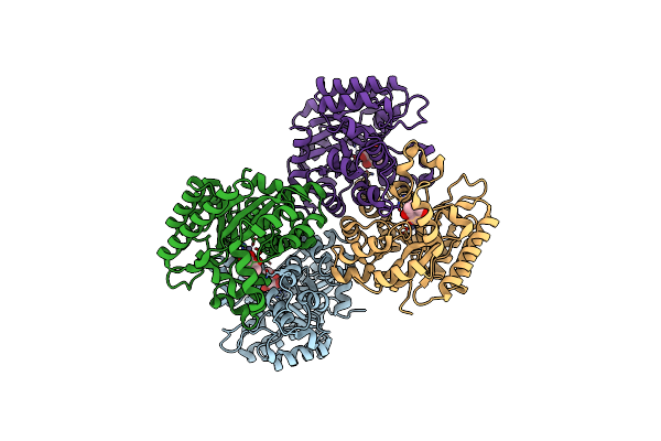 2DVU image