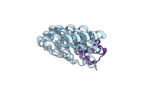 2DVW image