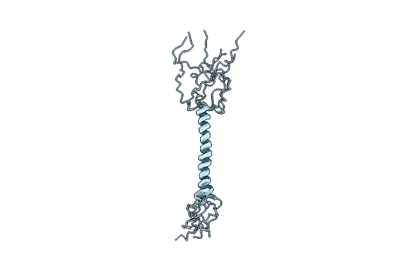 2DW3 image