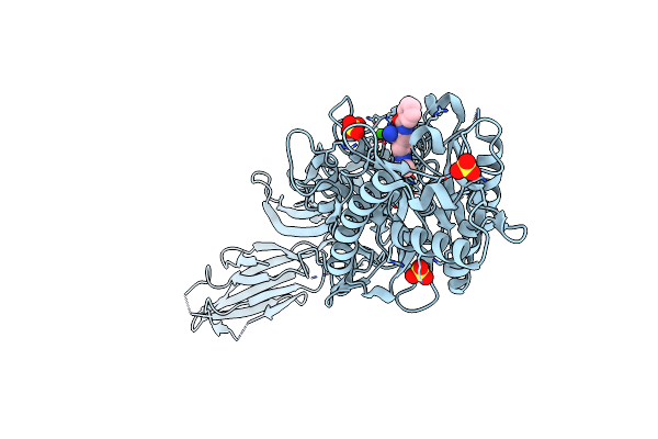 2DW5 image
