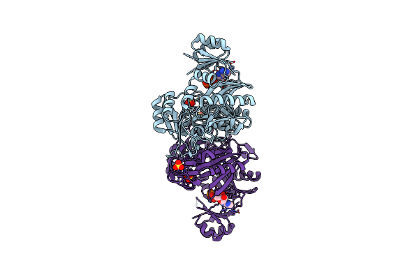 2DWC image