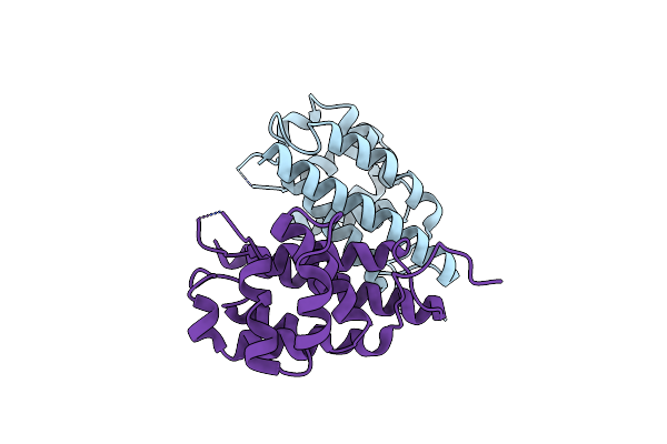 2DWG image